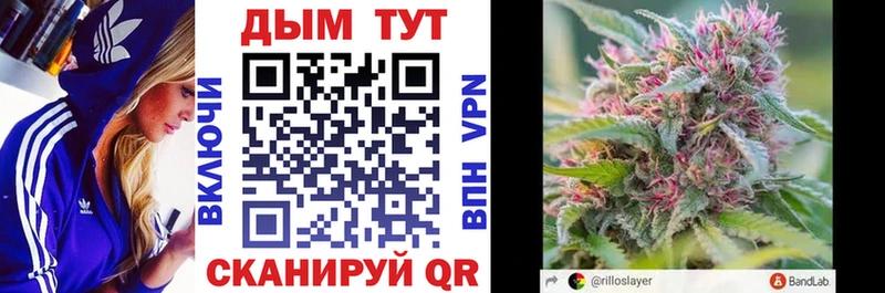 Бошки Шишки планчик Обоянь